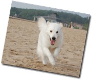 Terra at the beach